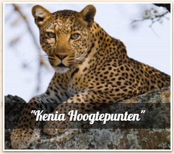 Avtours - Safaria Kenia